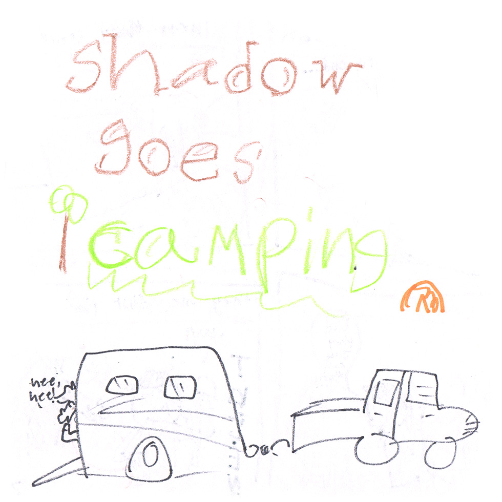 Book cover for Shadow Goes Camping story